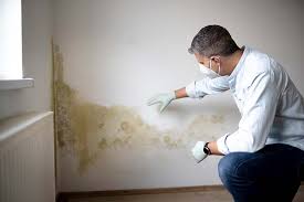 Why You Should Choose Our Mold Remediation Services in Mason City, IL